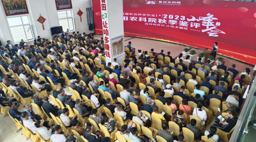 风里雨里，我在尊龙凯时等你——2023年尊龙凯时农科院秋季新品种鉴评峰会