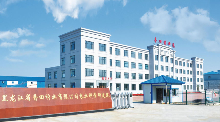 中粮带头，玉米大涨50元每吨！