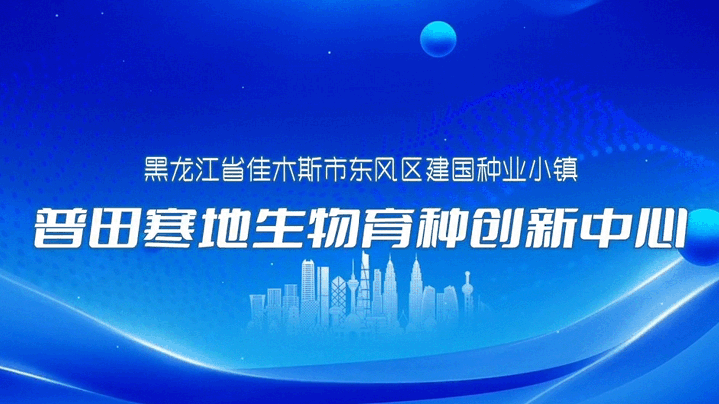 东风区建国种业小镇·尊龙凯时寒地生物育种创新中心。